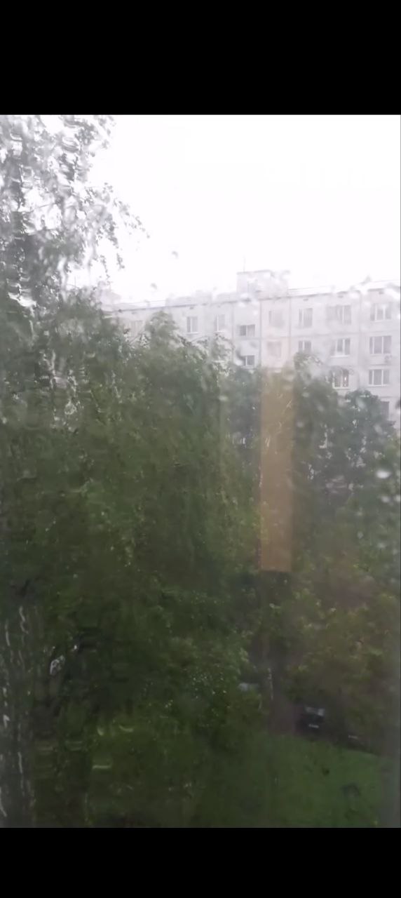 Дождь в Москве 12 июня 2024 года.