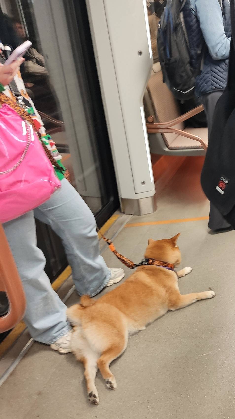 🐶Собака в вагоне метро"🚇Поезд "МОСКВА"🐶Кольцевая😊Дорожная романтика столицы 12.09.2023