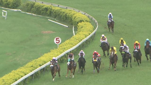 Blink Of An Eye with Afroz Khan up wins The Sandown Park Plate Div-1 2021