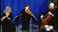 Passeri: Andante from Haydn's London Trio No. 1 in C Major