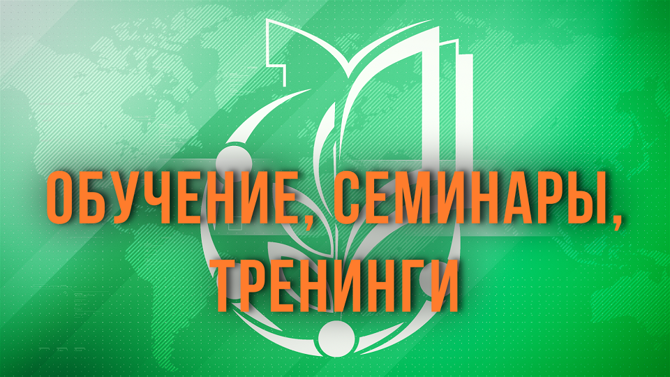 Семинар «Готовимся к отчётно-выборной кампании» для профактива Профсоюза образования ДНР