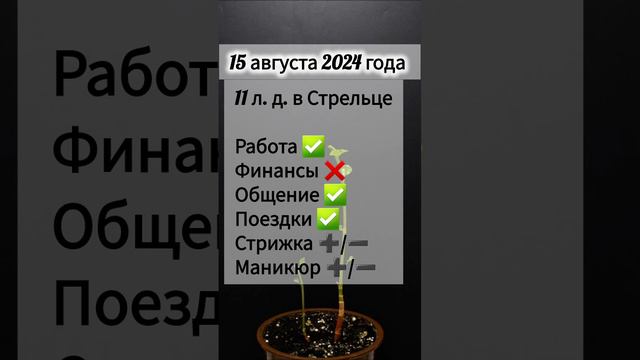 Лунный день 15 августа 2024 года Гороскоп каждый день! #shorts #астрология #прогноз дня #насегодня