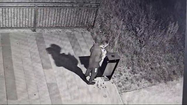 Video_2024-07-19