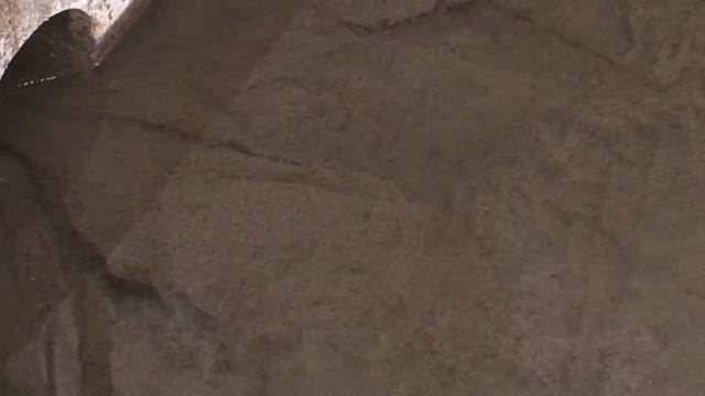 Эти организованные колонии бактерий очищают стоки.