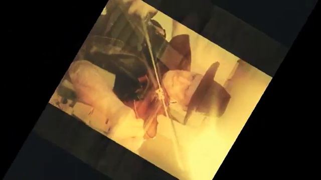 Ore polskan spelas karlsweden(kalle) på sin violin gewa