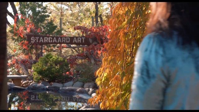ART STUDIO TOUR 2022: Stargaard Art Studio, Placer Artists Studios Tour