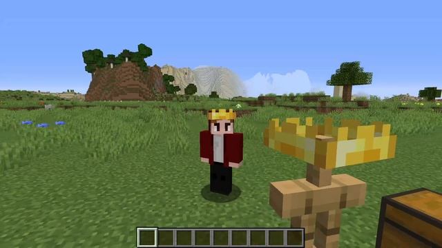 Golden Crowns! (Minecraft 1.16+ Texture Pack)