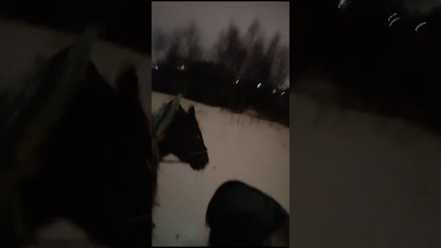 1000063117.mp4