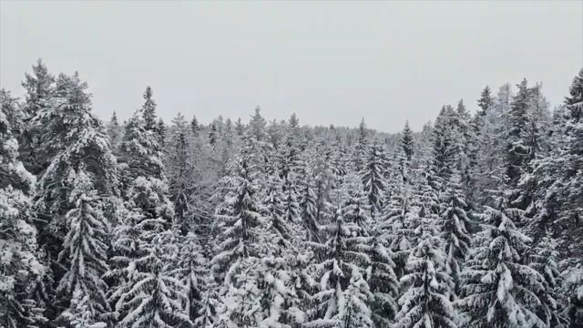 Ты Россия наша! ВИДЕОдемо