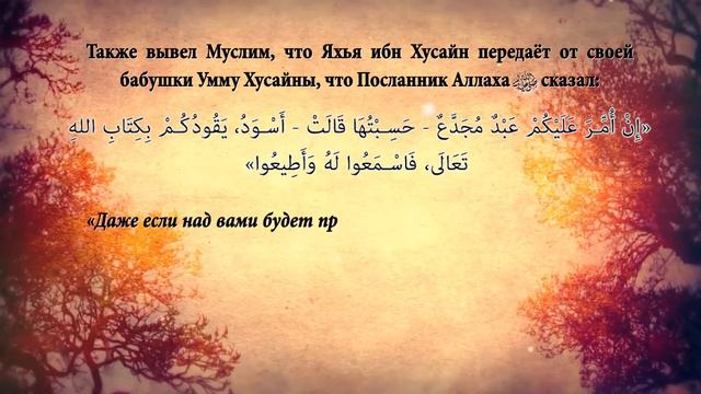 Можно ли ограничить срок присяги, которая заключается между Уммой и халифом?