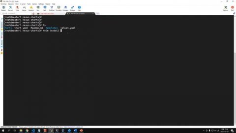helm을 이용한 nexus 설치