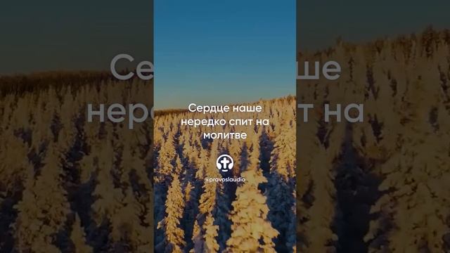 802 Сердце наше нередко спит на молитве — Иоанн Кронштадтский #Бог #душа #вера #молитва #сердце
