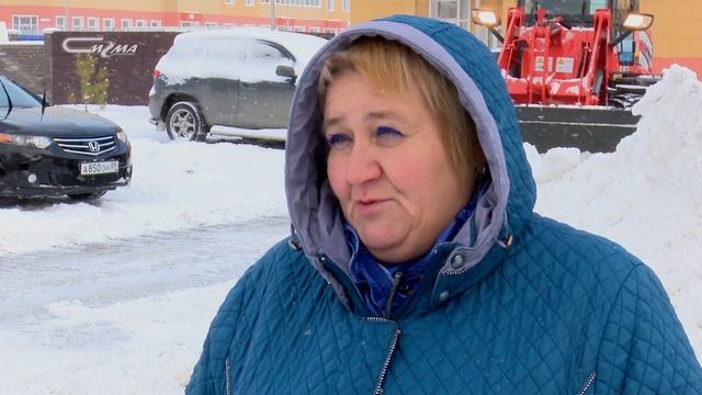 Снежная зима