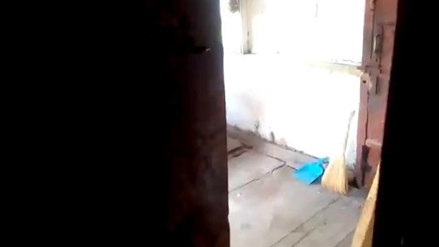 Дом в деревне Бобраки Орловской области