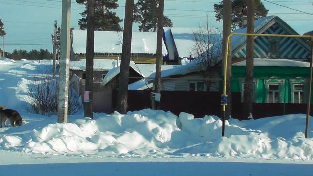 Звенигово.  Нижний поселок. 27 января 2019 года