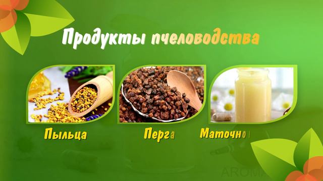 Видеопрезентация