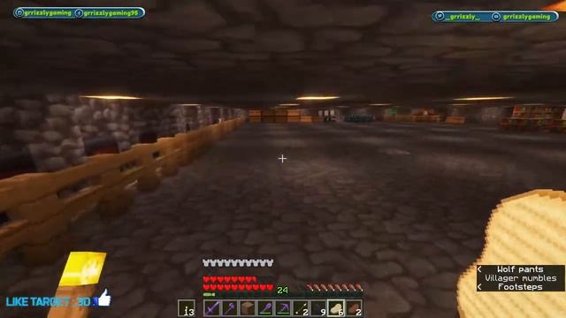 Public Lifesteal SMP | Join Now | PE + BEDROCK + JAVA | #13 |