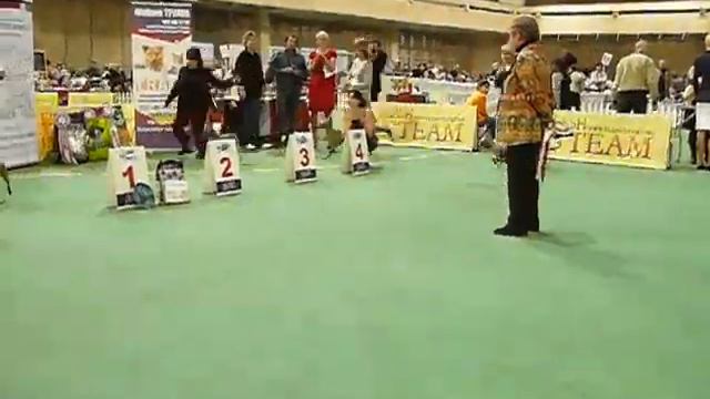 национальная выставка 2011г