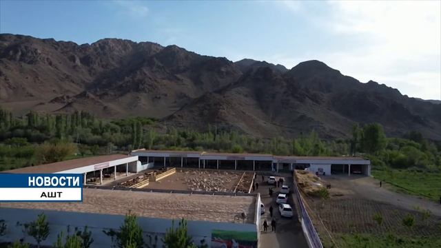 Старт деятельности фермы крупного рогатого скота в Аштском районе