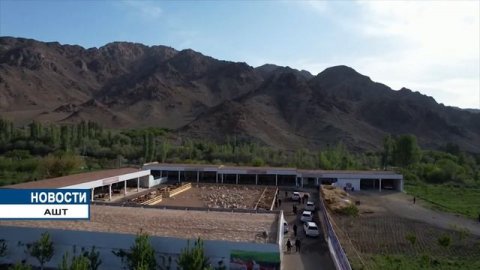 Старт деятельности фермы крупного рогатого скота в Аштском районе