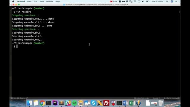 Docksal Basic Commands