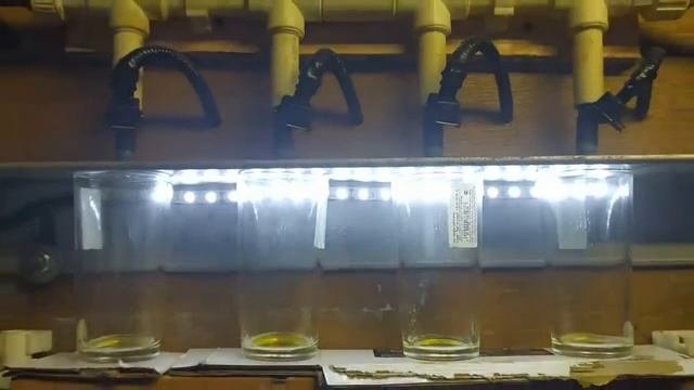 Промывка бензиновых форсунок
