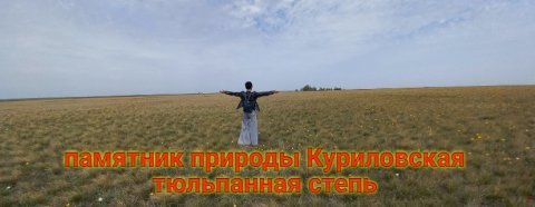 памятник природы Куриловская тюльпанная степь 20 апреля 2024года