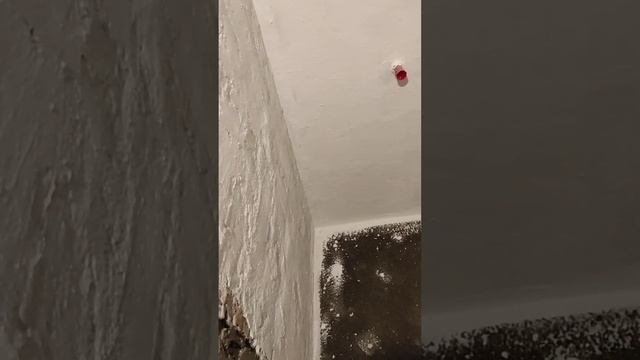 Πώς να στεγανοποίησω μπάνιο με Aquamat της Isomat και τσιμεντοκονία με κρύσταλλοποιητή της Penetron