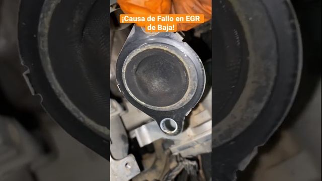 PROBLEMA en EGR de baja o limpia! Nissan Qashqai 1.6dci. averia diagnosis mecanica nissan dci