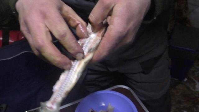 Расколодка из омуля  от Extremefish рыбалка на Байкале .mp4