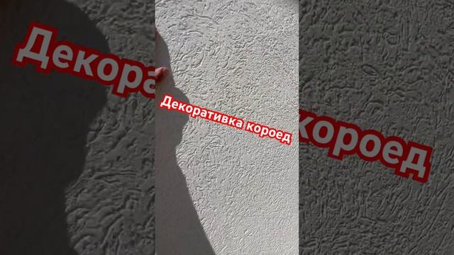 #короед #штукатурка