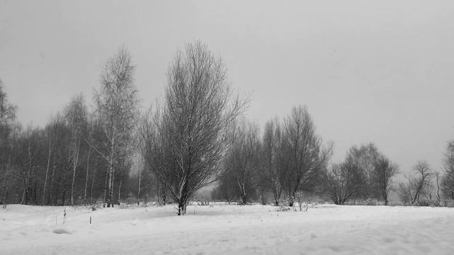 Sleep Dealer - Winter