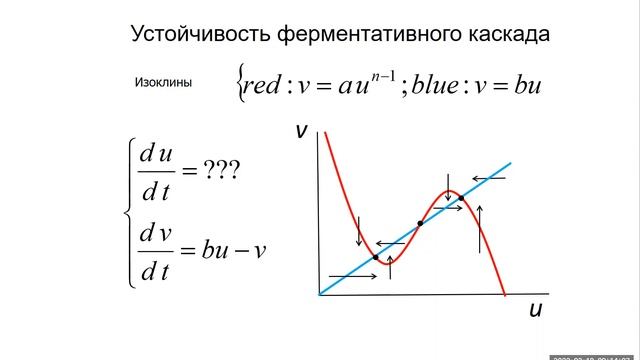 Лекция 21. Свёртывание крови. Часть 3.