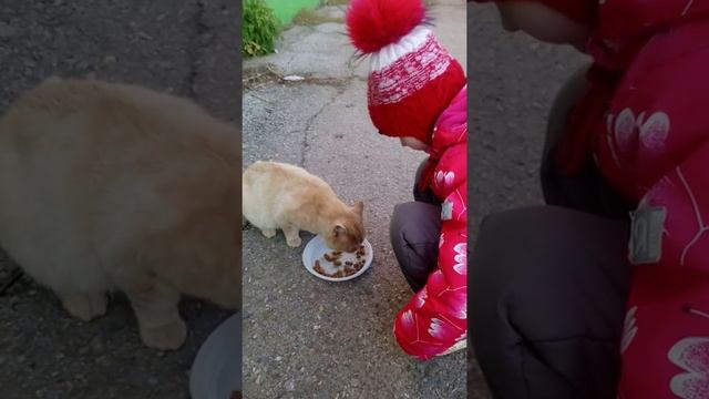 Лера кормит рыжего кота
