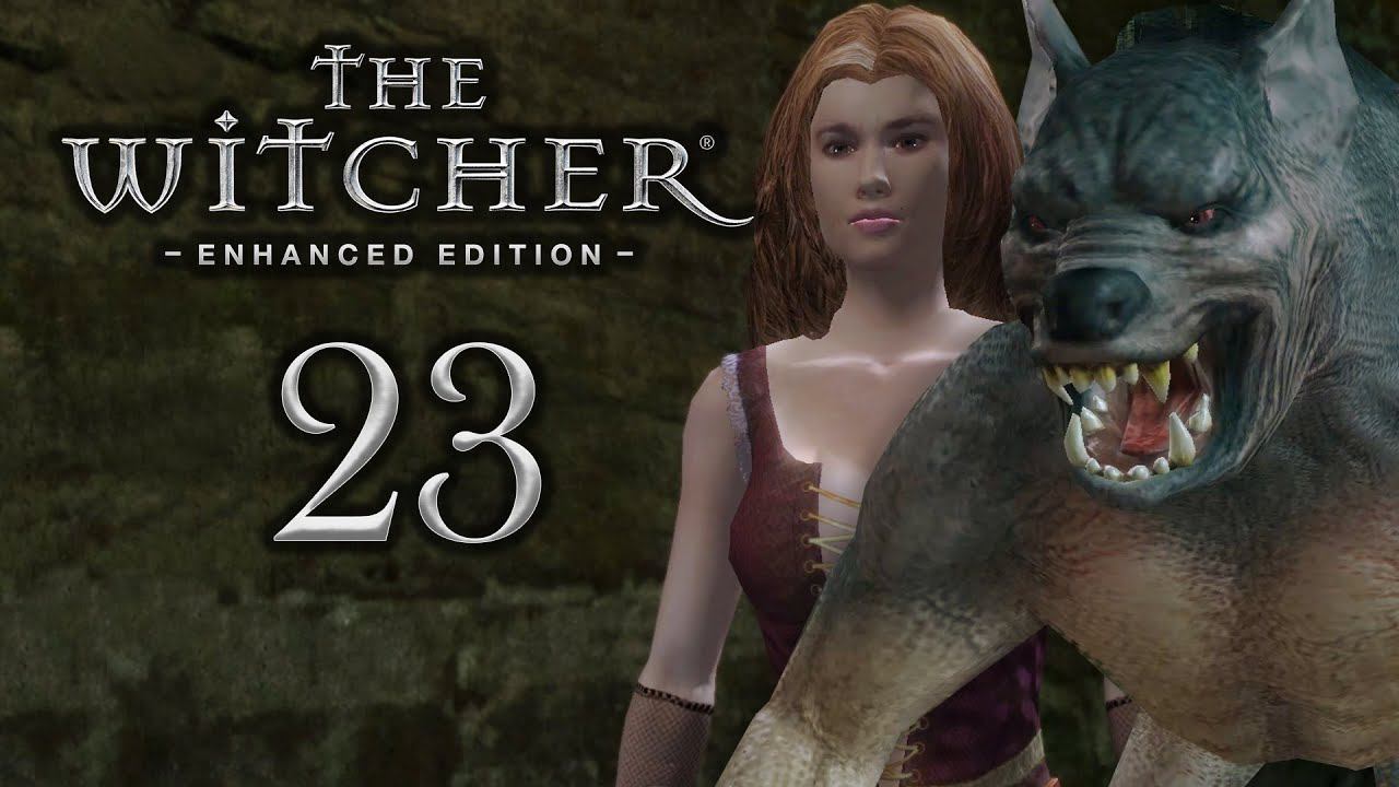 ГЕРАЛЬТ ПСИХОЛОГ  Прохождение игры  The Witcher 1 на ПК 23