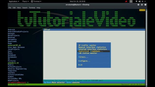 Cum monitorizam traficul din retea cu ajutorul iptraf pe Unix