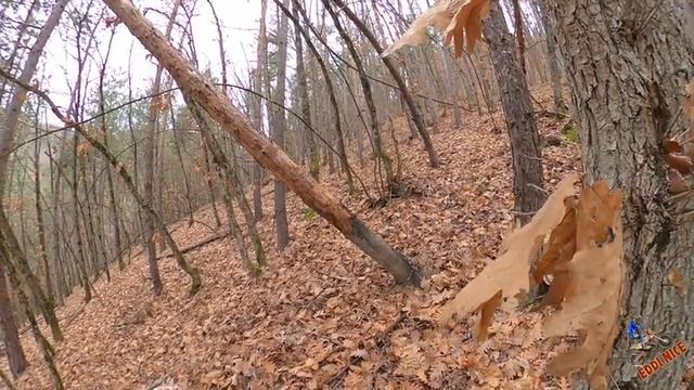 ЦРФ 450-Цял ден каране | Много кеф, но с цена!