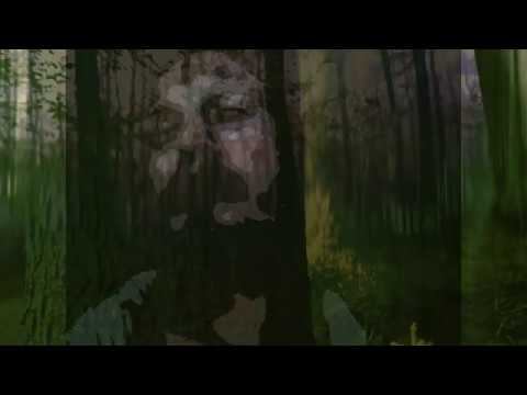 Soa Dreams - Nénuphar