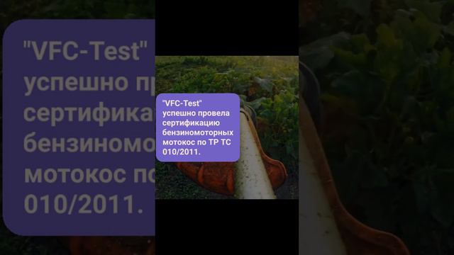 Сертификация бензиномоторных мотокос по ТР ТС 010 — vfc-test.ru