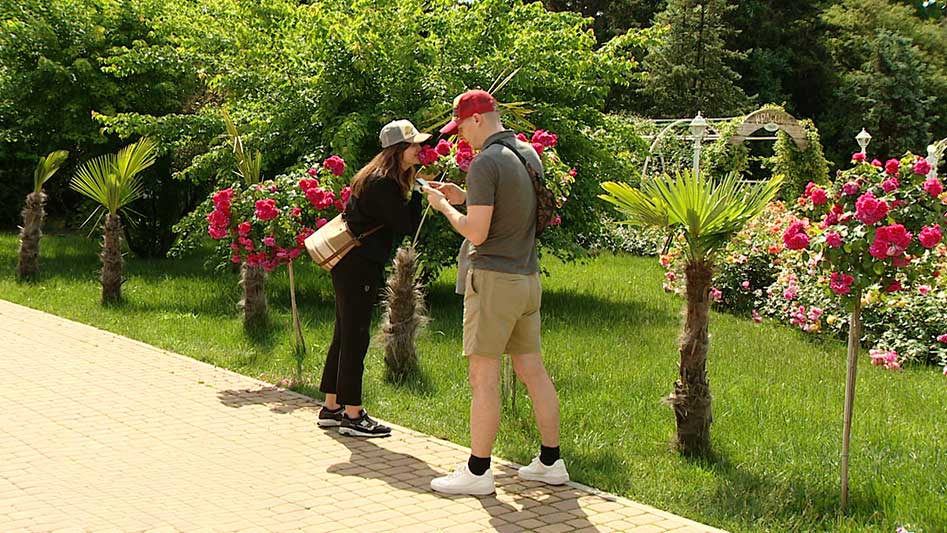 В Сочи в парке "Ривьера" зацвел розарий