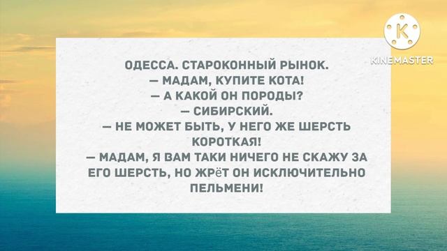 Ты не в моем вкусе! Подборка веселых анекдотов! Приколы!