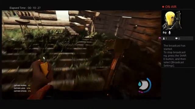 Da friggin Forest again