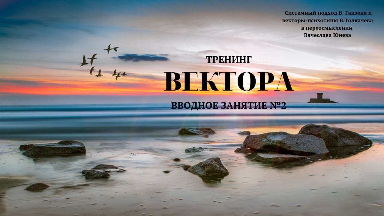 Вводное занятие №2. Тренинг  "Вектора". Проект Вячеслава Юнева