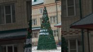 Усть-Кут, первые новогодние елочки
