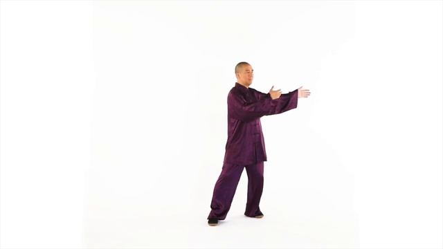 Traditional Tai Chi Elements