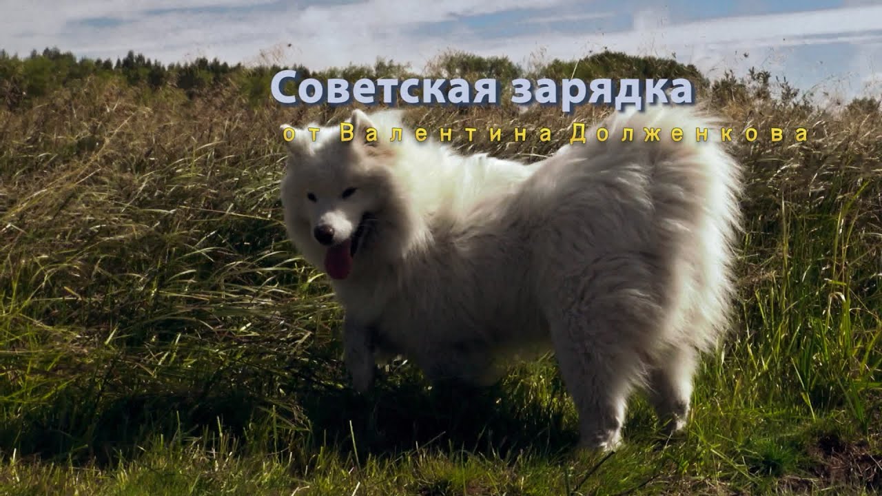 Советская зарядка