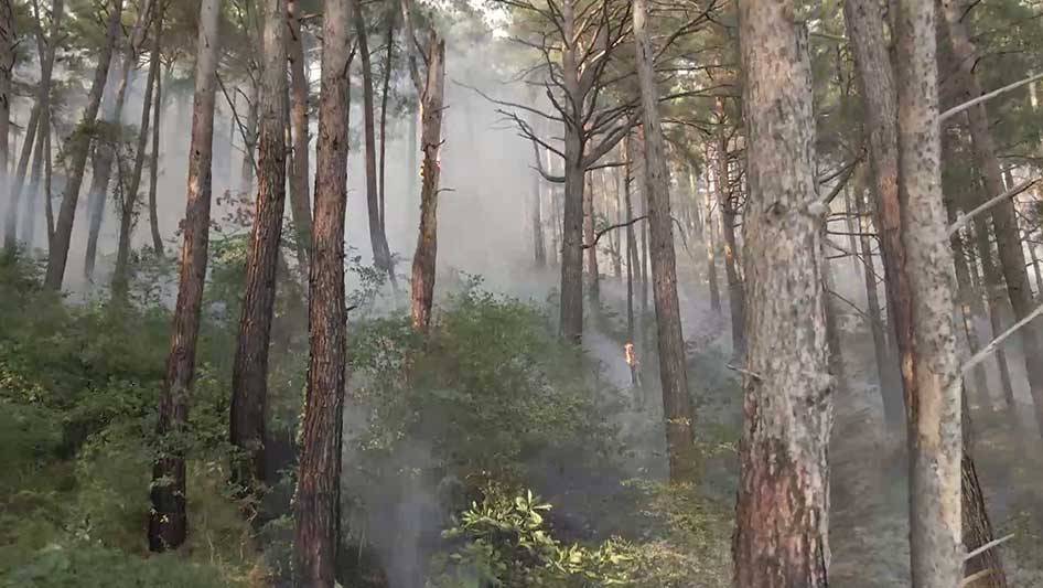 В Гагрском районе Абхазии продолжают тушить лесной пожар