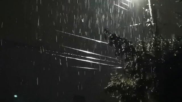 Зимата дойде в Свищов