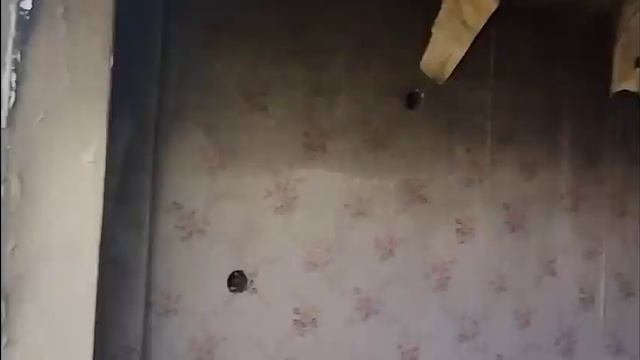 заброшенный поселок Республика Коми г Воркута