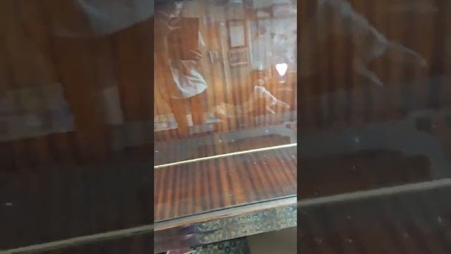 Рум тур по моей спальней и гостинной